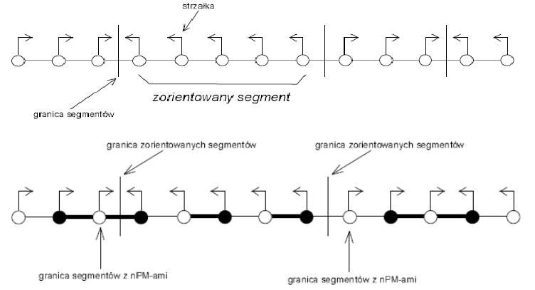 segmenty